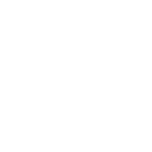 Borderlane Industries